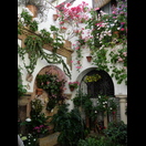 Wir hatten die Gelegenheit, Patios (Innenhöfe) zu besichtigen, die für die Prämierung geöffnet worden waren